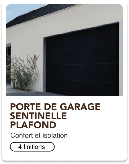 13-Sentinelles plafond