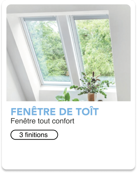 4-FENETRE DE TOIT